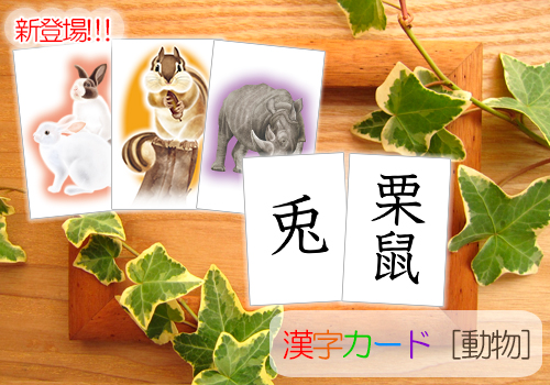 漢字カード 動物 言葉遊び漢字カード 動物 かるた カード リバーホエール絵本館